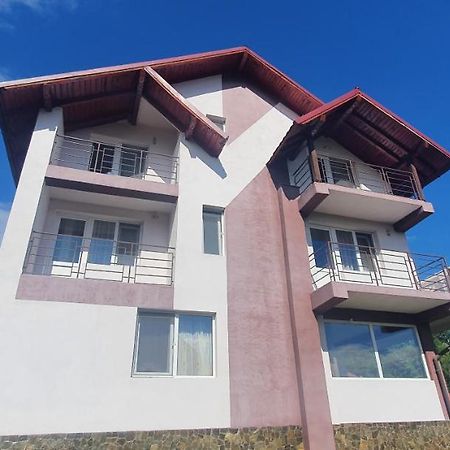 Casa Silvia Hotel Căpăţîneni-Ungureni Екстериор снимка