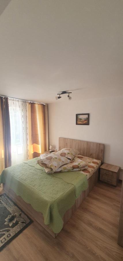 Casa Silvia Hotel Căpăţîneni-Ungureni Екстериор снимка
