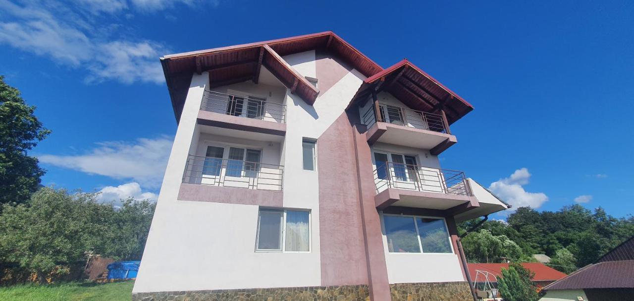 Casa Silvia Hotel Căpăţîneni-Ungureni Екстериор снимка