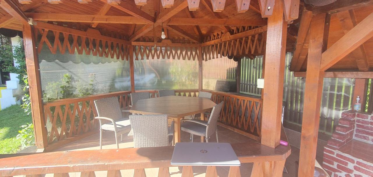 Casa Silvia Hotel Căpăţîneni-Ungureni Екстериор снимка