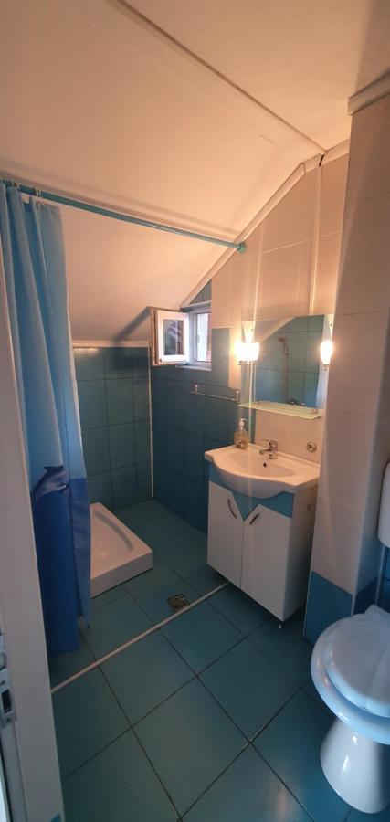 Casa Silvia Hotel Căpăţîneni-Ungureni Екстериор снимка
