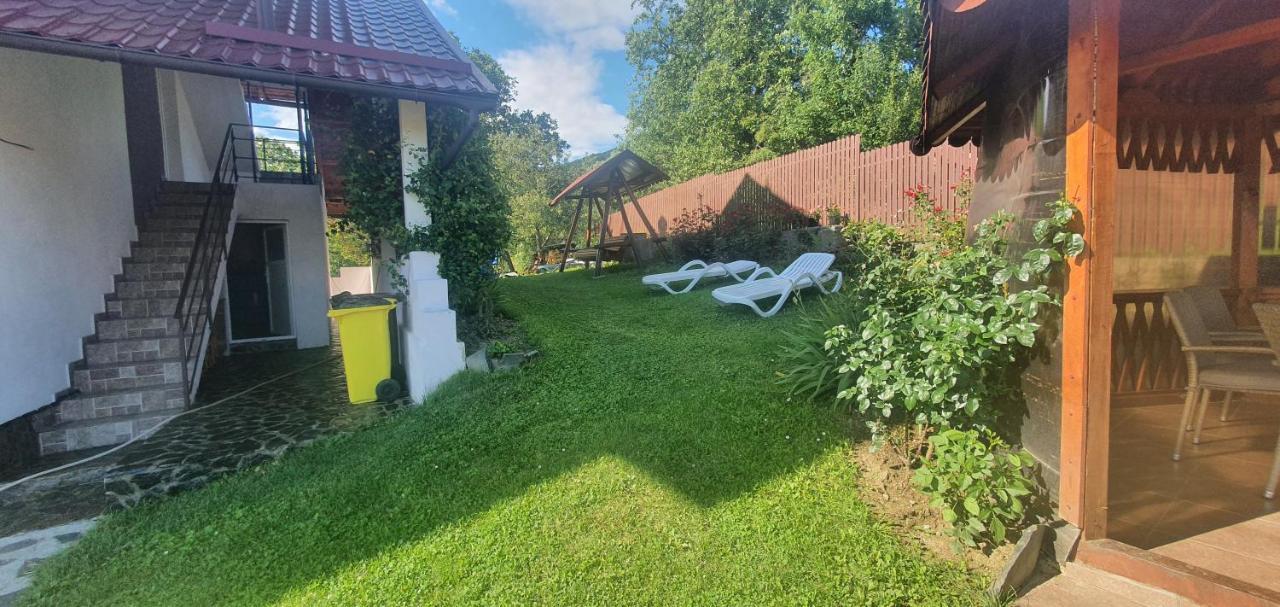 Casa Silvia Hotel Căpăţîneni-Ungureni Екстериор снимка