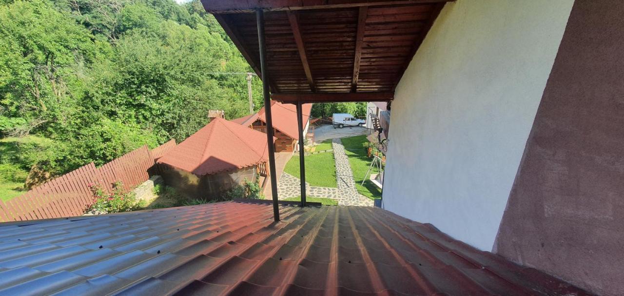 Casa Silvia Hotel Căpăţîneni-Ungureni Екстериор снимка