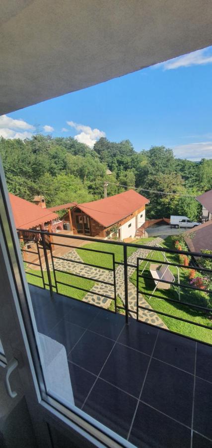 Casa Silvia Hotel Căpăţîneni-Ungureni Екстериор снимка