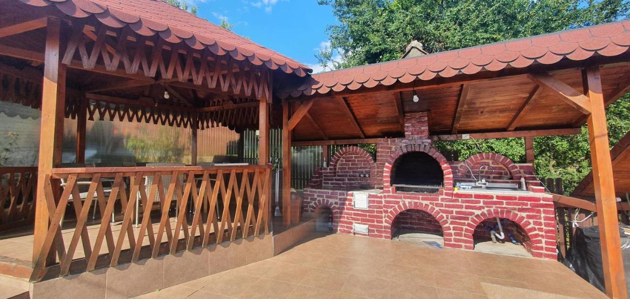 Casa Silvia Hotel Căpăţîneni-Ungureni Екстериор снимка