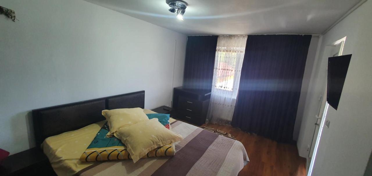 Casa Silvia Hotel Căpăţîneni-Ungureni Екстериор снимка