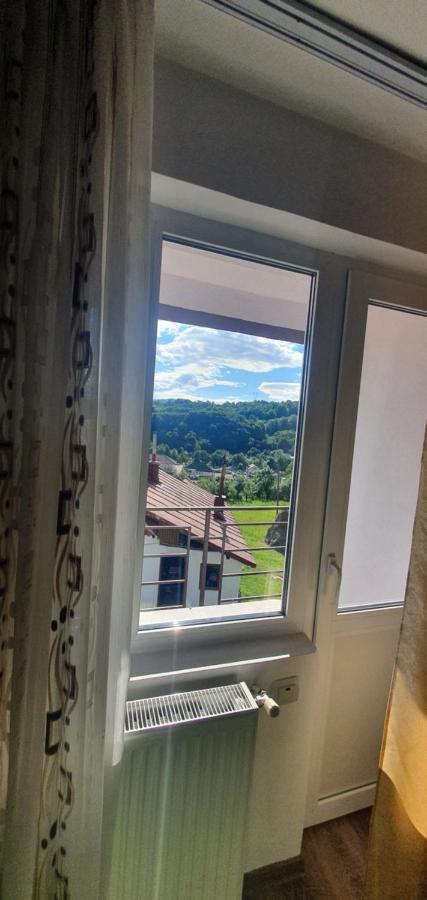 Casa Silvia Hotel Căpăţîneni-Ungureni Екстериор снимка