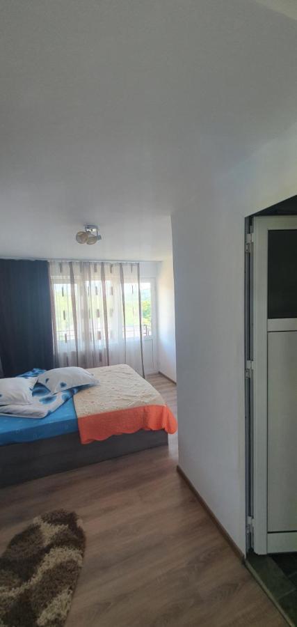 Casa Silvia Hotel Căpăţîneni-Ungureni Екстериор снимка