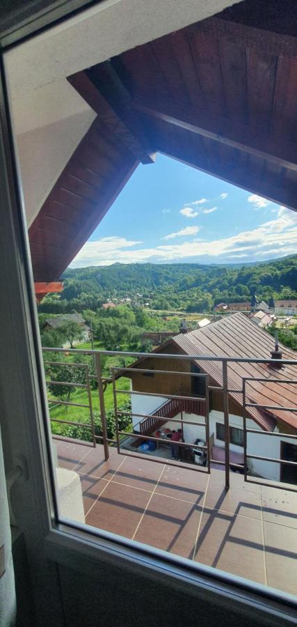 Casa Silvia Hotel Căpăţîneni-Ungureni Екстериор снимка